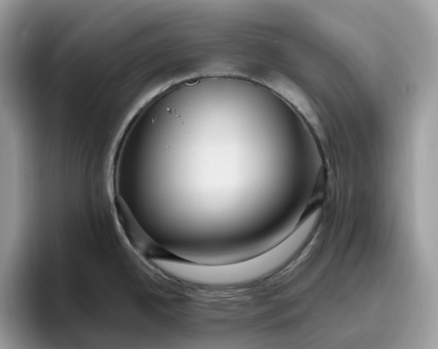 X0000095961342200801251142