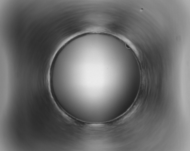 X0000095961343200801251142