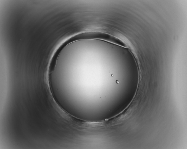 X0000095961344200801251142