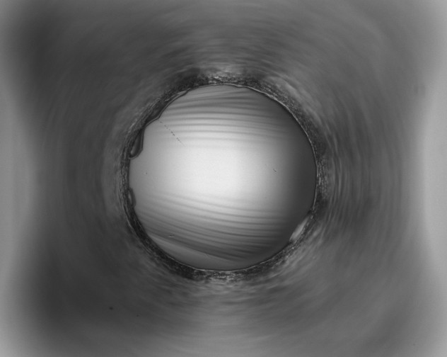 X0000095961345200801251142