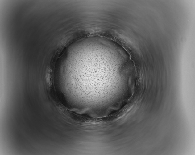 X0000095961346200801251142