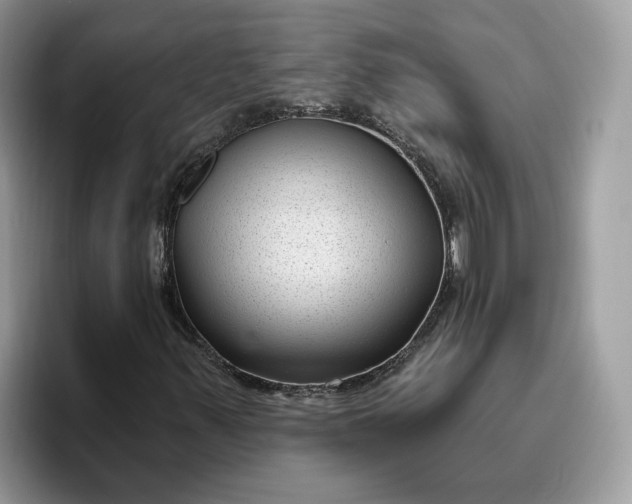 X0000095961347200801251142