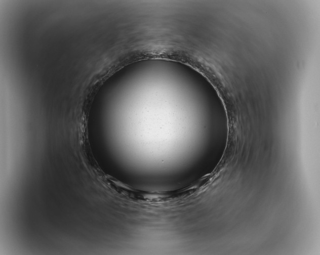 X0000095961349200801251142