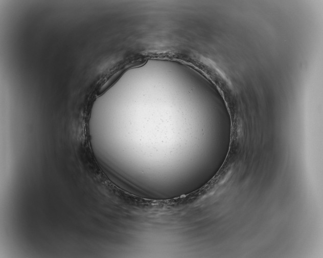 X0000095961350200801251142