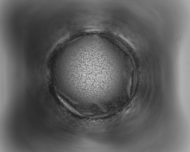 X0000095961351200801251142