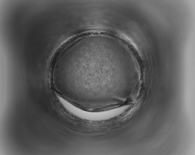 X0000095961352200801251142