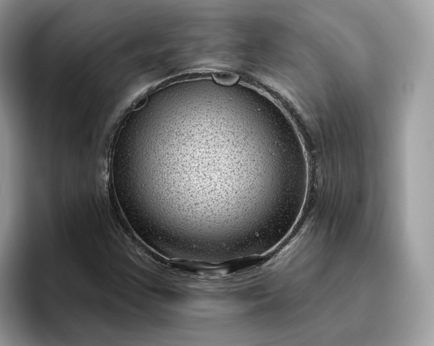 X0000095961355200801251142