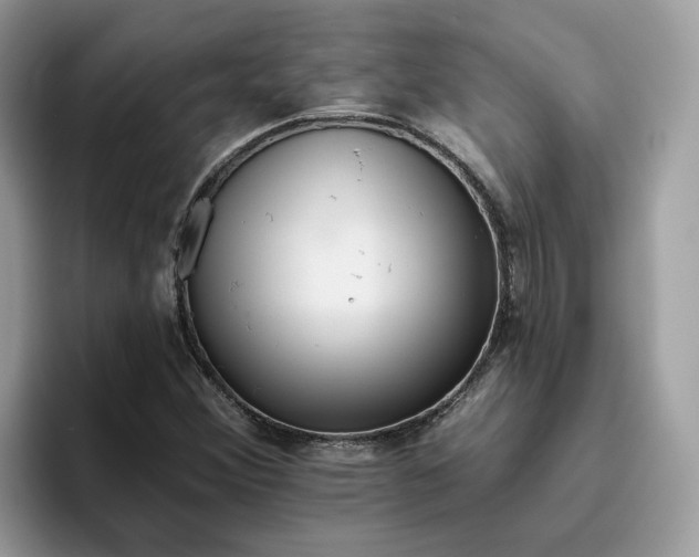 X0000095961356200801251142