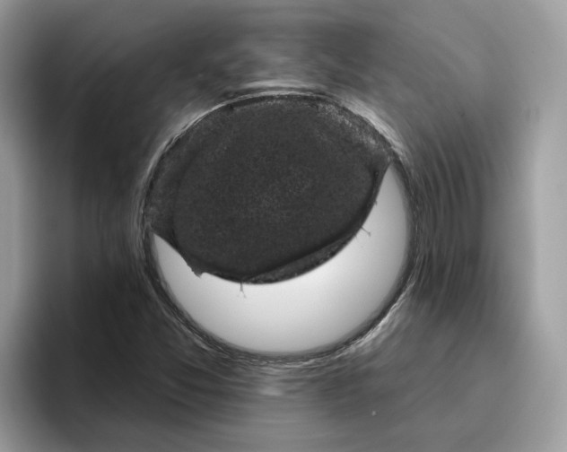 X0000095961357200801251142