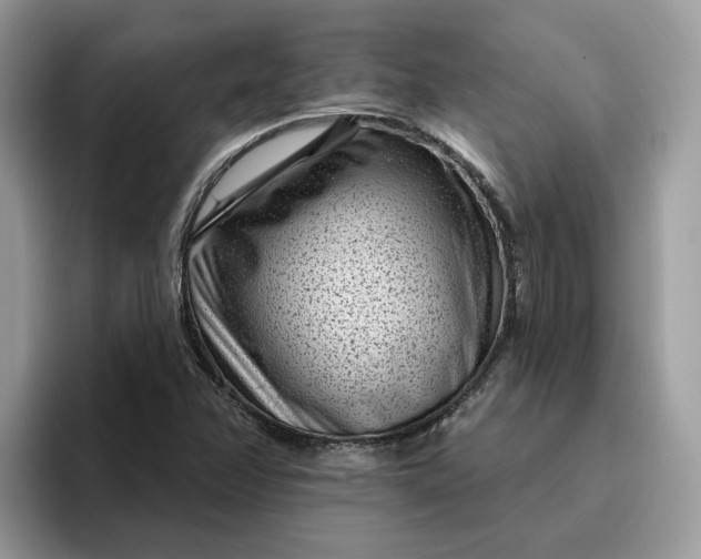 X0000095961358200801251142