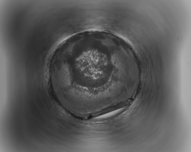 X0000095961359200801251142