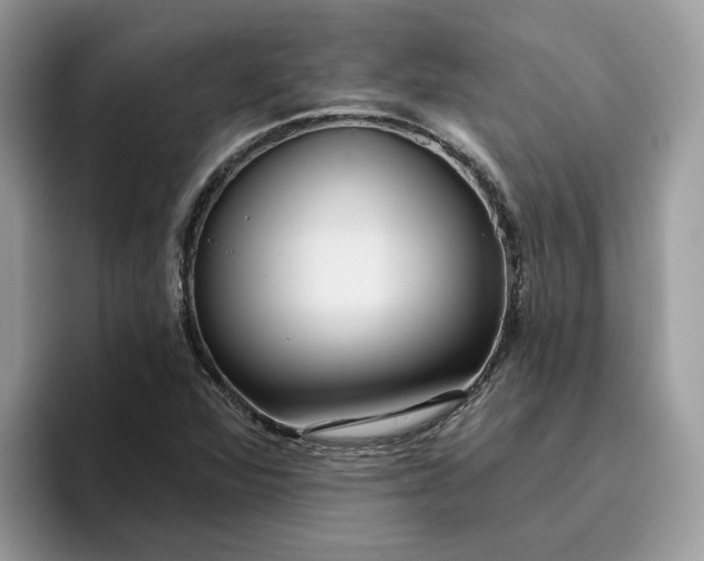 X0000095961360200801251142