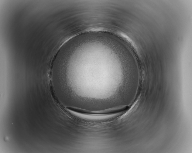 X0000095961361200801251142