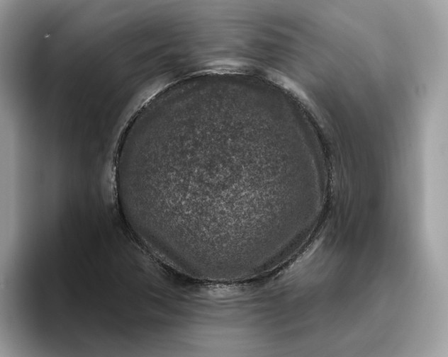 X0000095961362200801251142