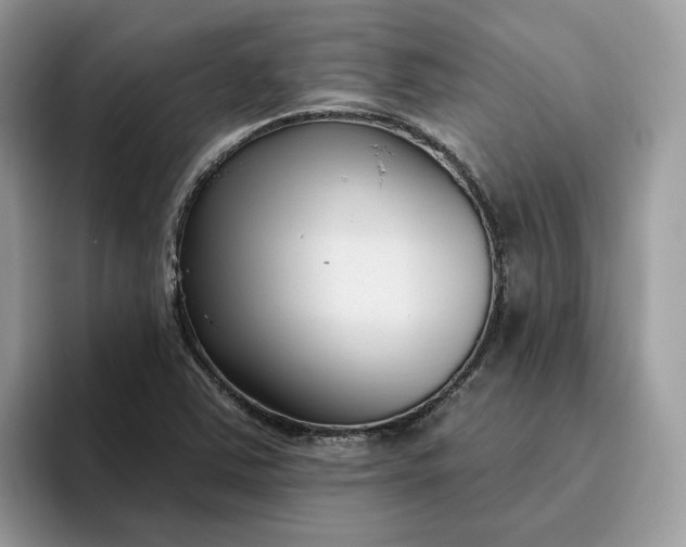 X0000095961363200801251141