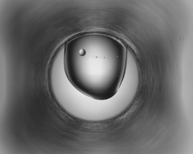 X0000095961364200801251141