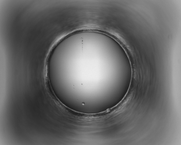 X0000095961366200801251141