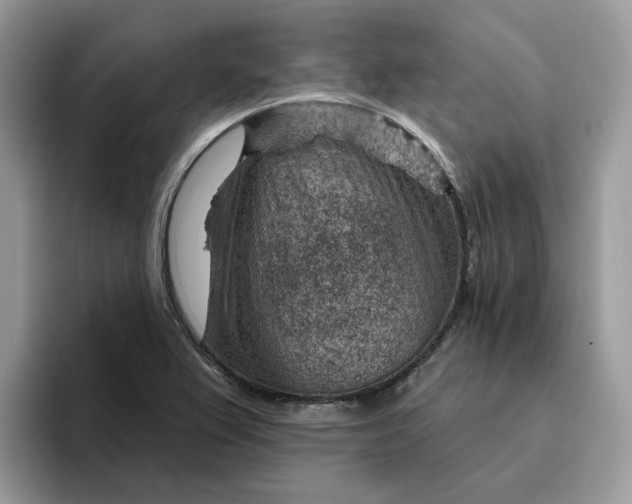 X0000095961367200801251141