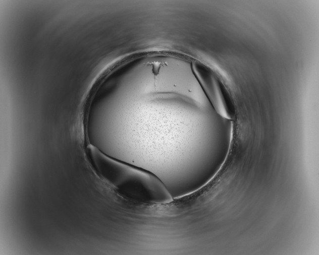 X0000095961368200801251141