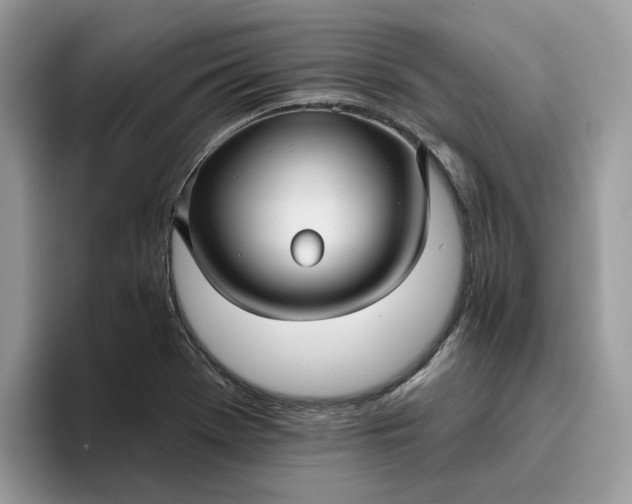 X0000095961369200801251141