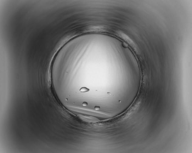 X0000095961370200801251141