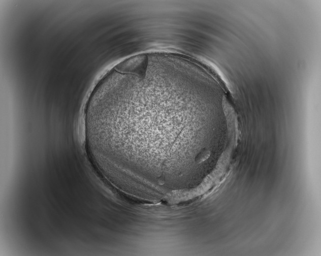 X0000095961371200801251141