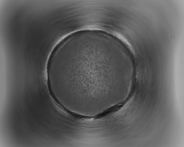 X0000095961372200801251141