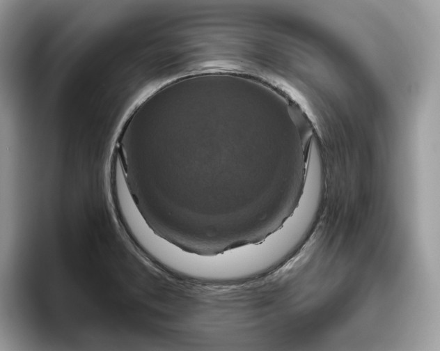 X0000095961373200801251141