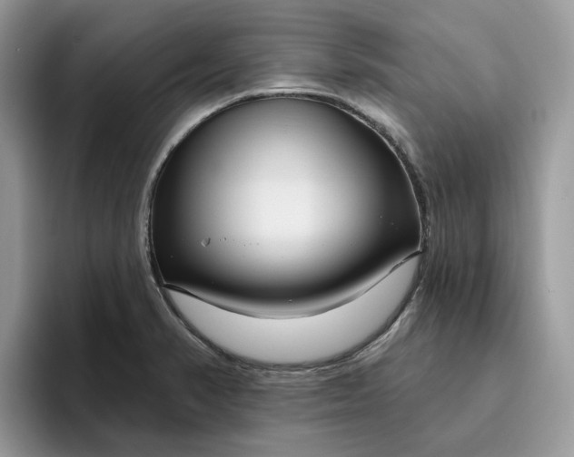 X0000095961374200801251141