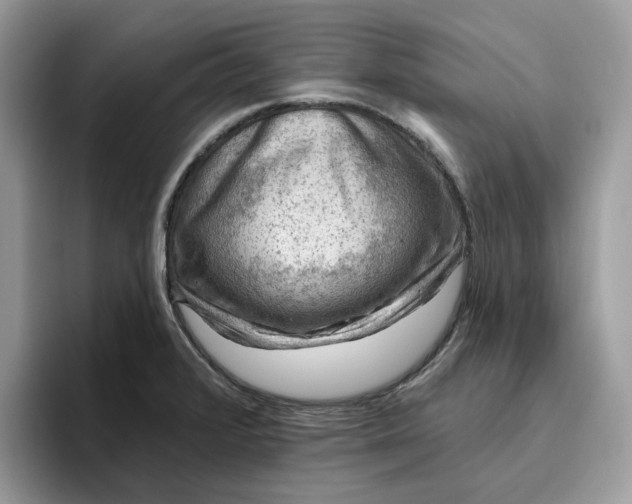 X0000095961376200801251141