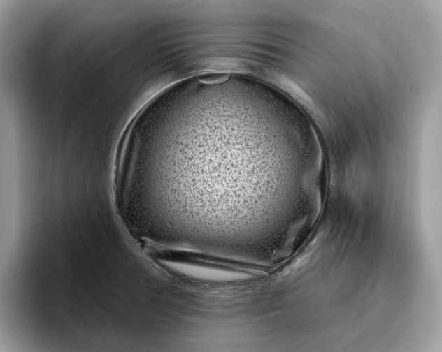 X0000095961378200801251141