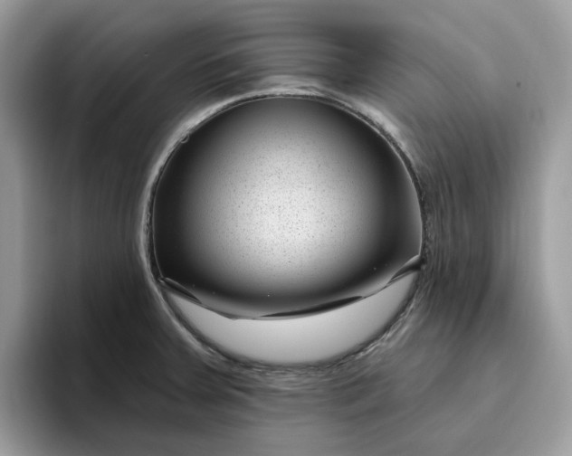 X0000095961379200801251141