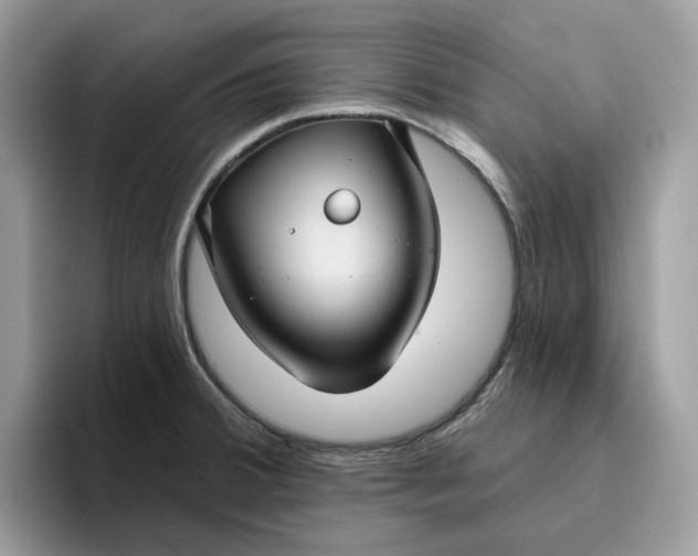 X0000095961380200801251141