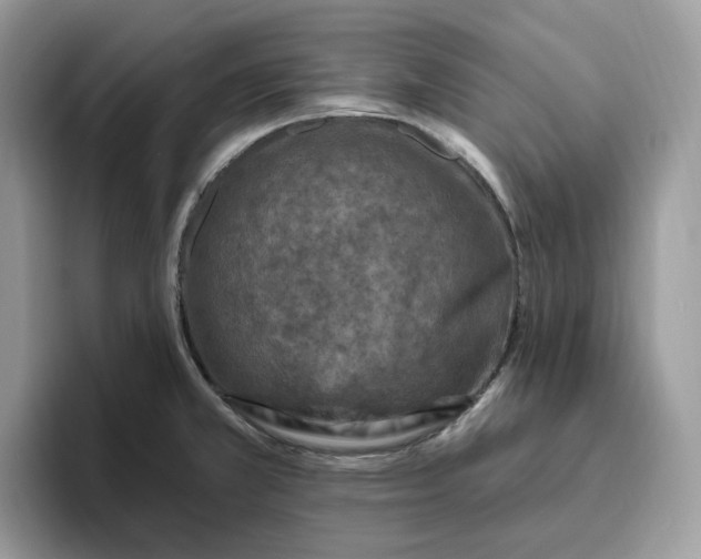 X0000095961381200801251141