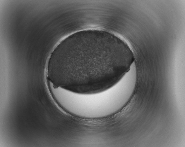 X0000095961383200801251141