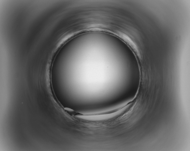 X0000095961384200801251141