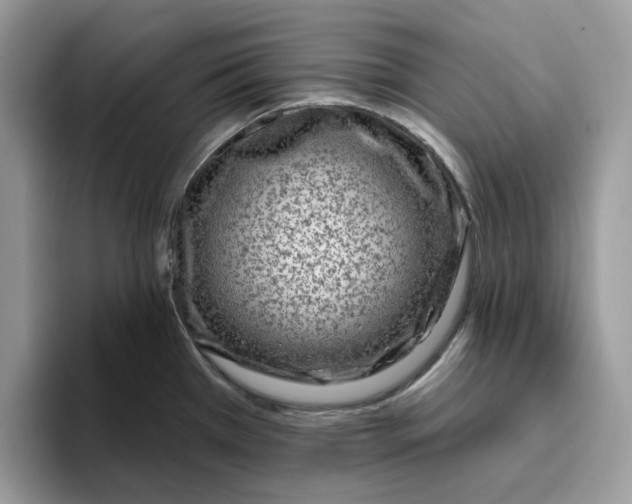 X0000095961385200801251141