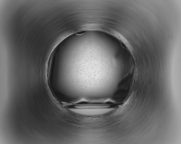 X0000095961386200801251141