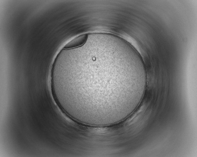 X0000095961387200801251141