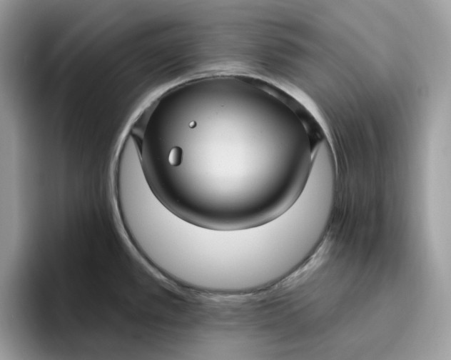 X0000095961389200801251141