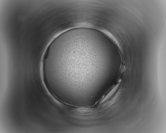 X0000095961391200801251141