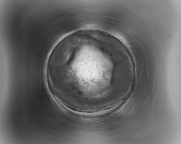 X0000095961392200801251141