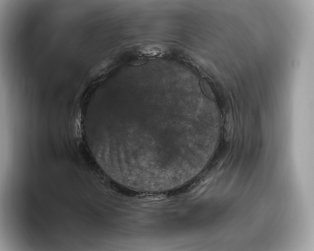 X0000095961394200801251141