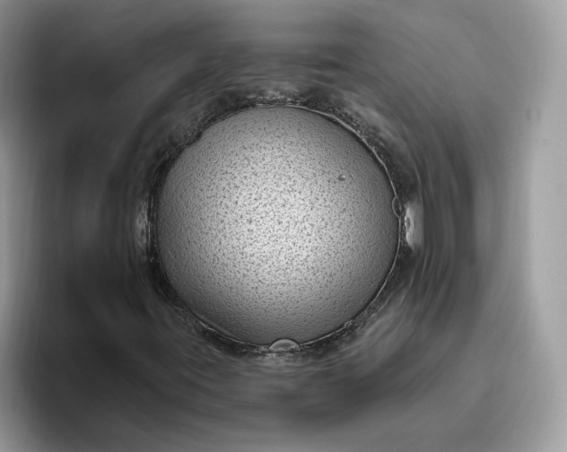 X0000095961395200801251141