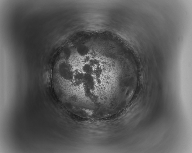 X0000095961397200801251141