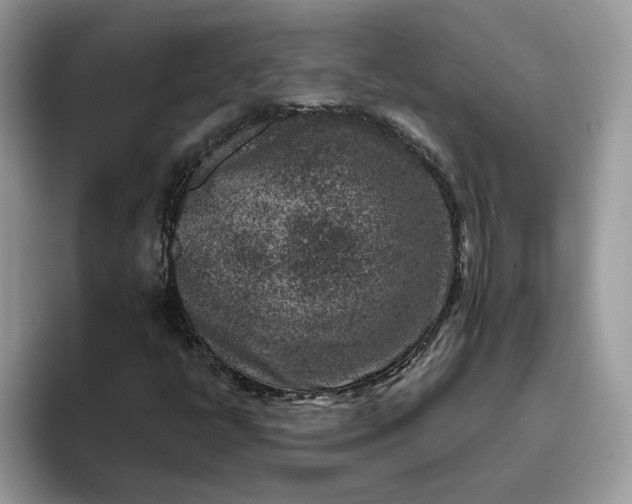 X0000095961398200801251141