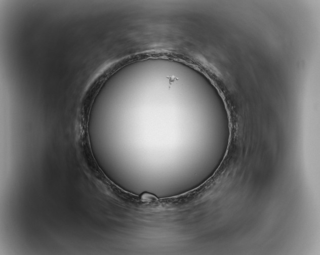 X0000095961400200801251141