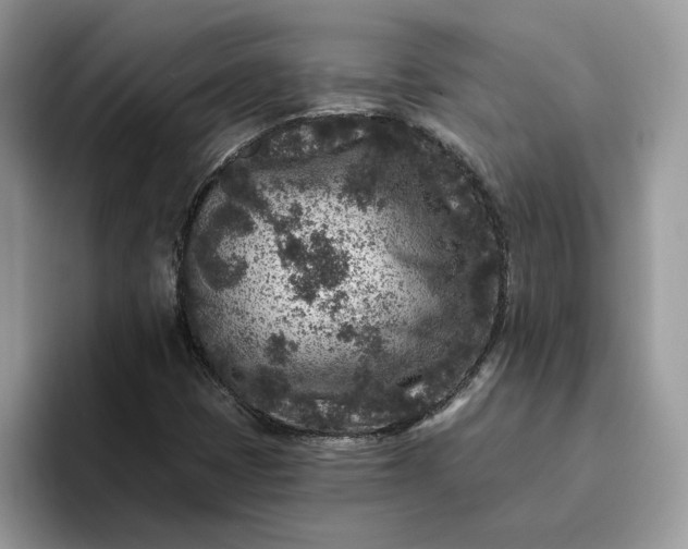 X0000095961401200801251141