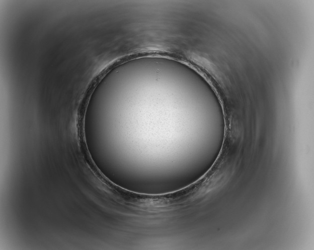 X0000095961404200801251141