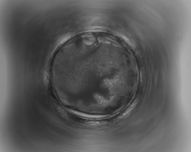 X0000095961405200801251141